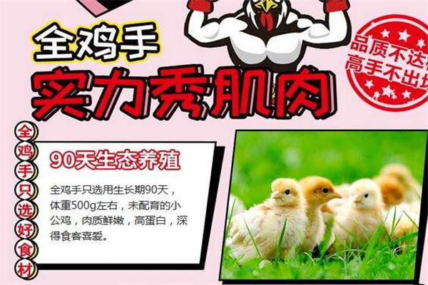全雞手炸雞