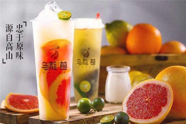 乌龙煎加盟费