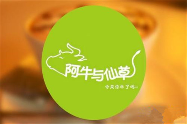 阿牛与仙草加盟费用
