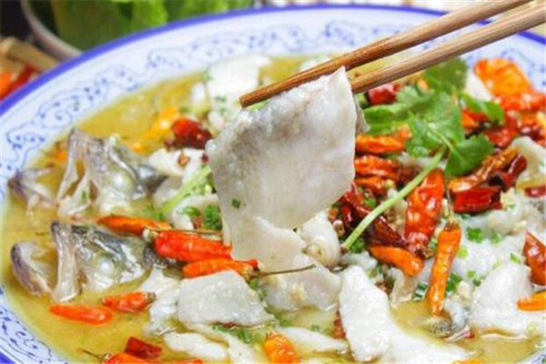 喵想吃酸菜鱼实体店加盟投资多少