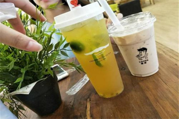 有去呔茶总部的吗