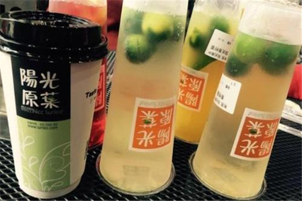 耐思阳光原叶投资多少钱