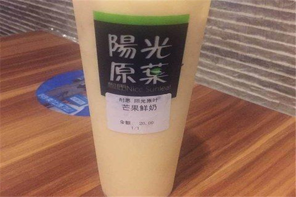 耐思阳光原叶投资多少钱
