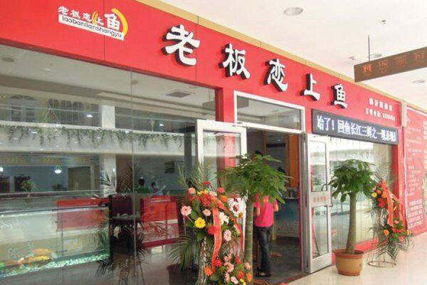 老板恋上鱼总部在哪里
