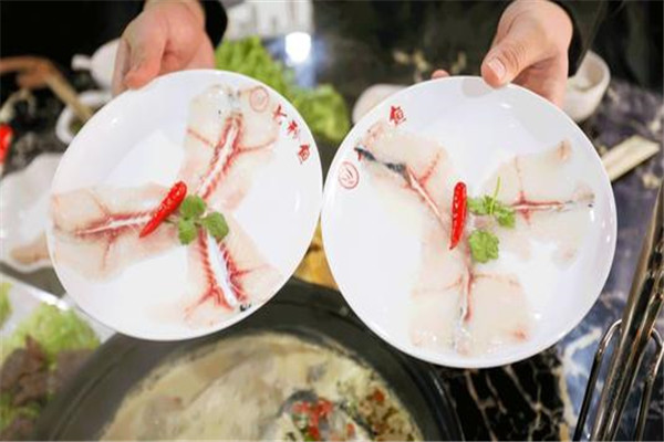 七秒鱼加盟是骗局吗