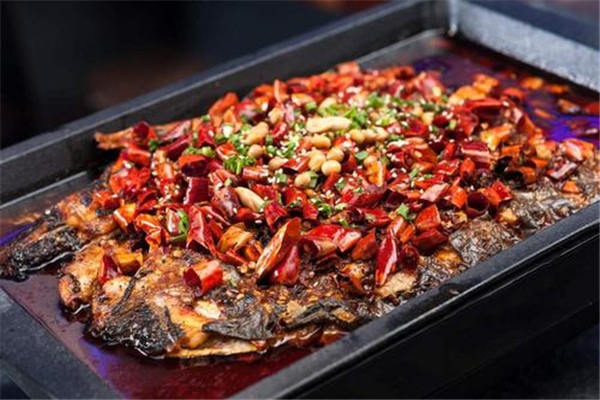 老板恋上鱼总部在什么地方