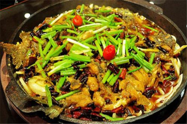 老板恋上鱼总部在什么地方