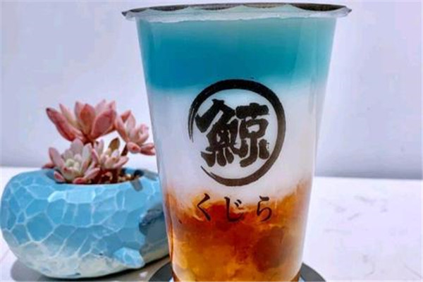 琉璃鲸加盟电话是多少