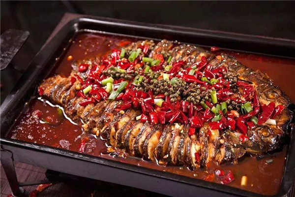 禾聪烤鱼饭靠谱吗