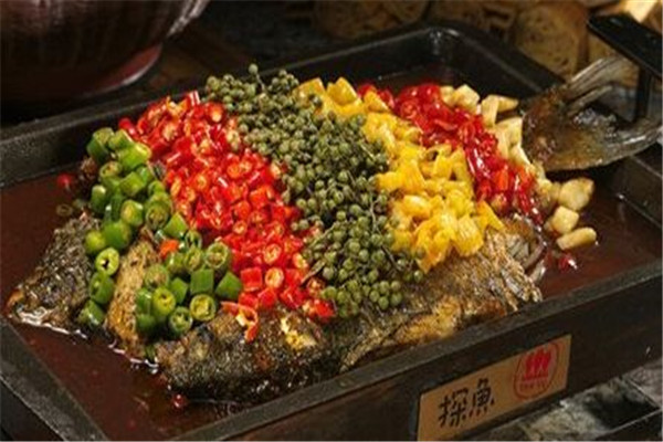 三线城市探鱼加盟费用