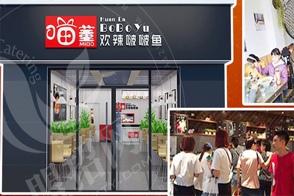 喵董啵啵鱼生意怎么样