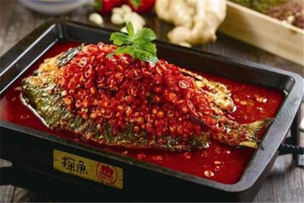 探鱼总部在哪里