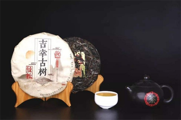 曼松贡茶