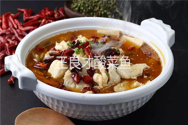 顾翁啵啵鱼