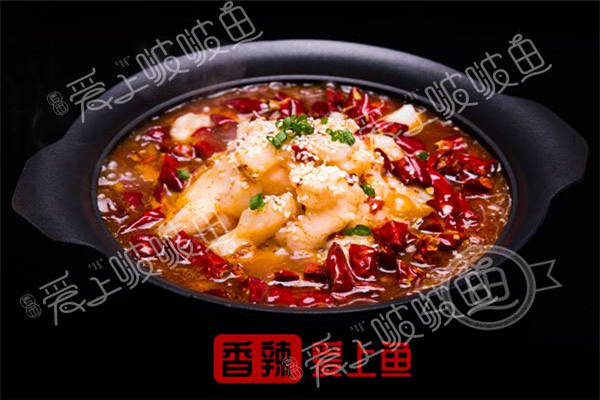 爱上啵啵鱼