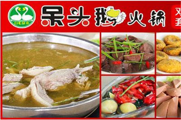 呆头鹅火锅