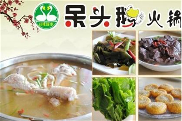 呆头鹅火锅