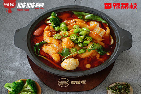 肥猫啵啵鱼