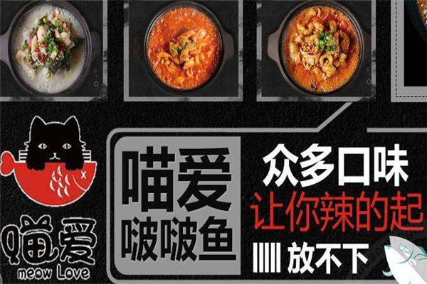 喵爱啵啵鱼