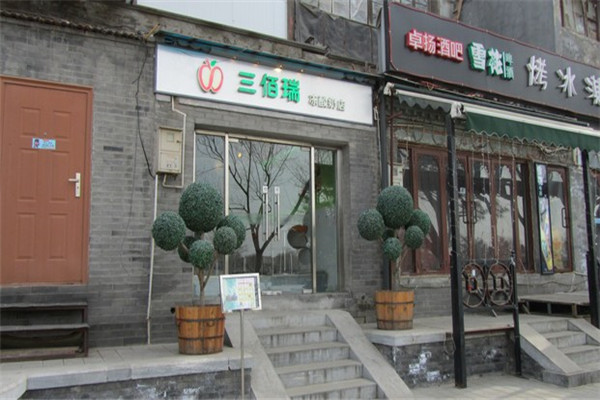 三佰瑞冻酸奶
