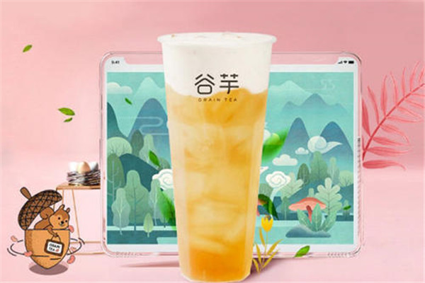 和谷芋公司签约前注意什么