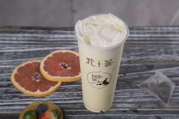 净梵茶加盟费多少