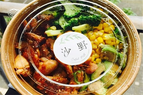 沙野轻食属于哪个公司