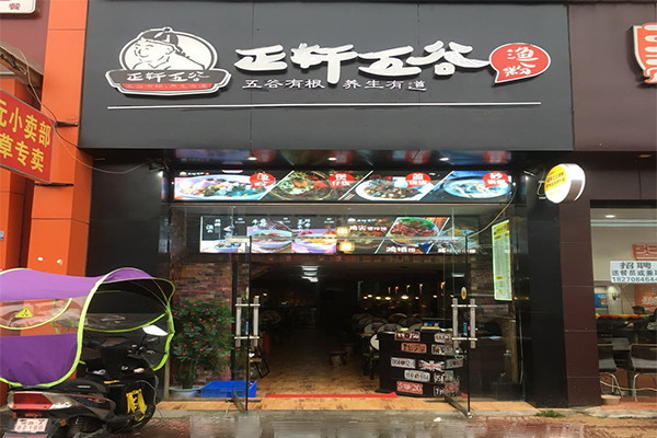 正轩五谷鱼粉加盟费