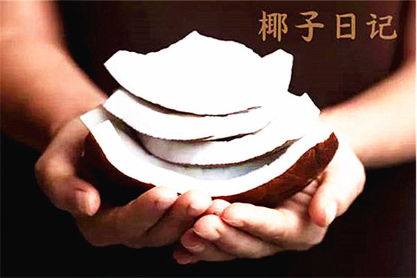 椰子日记