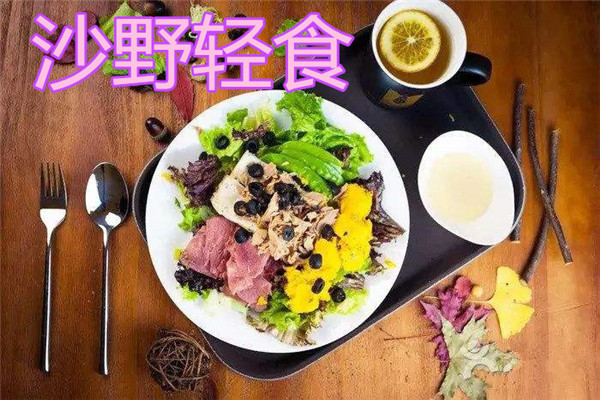沙野轻食怎么样