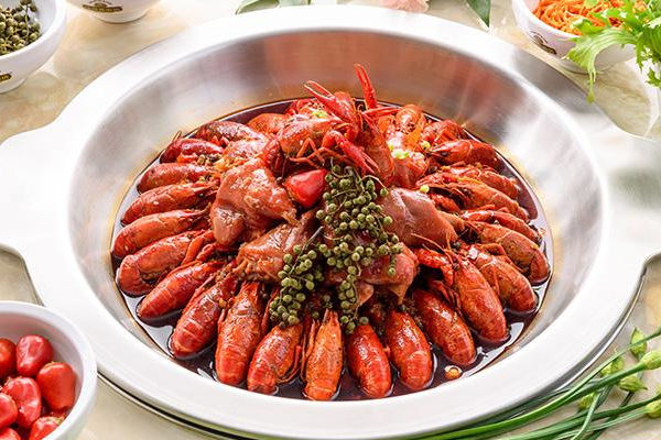 十九堂全国有多少店