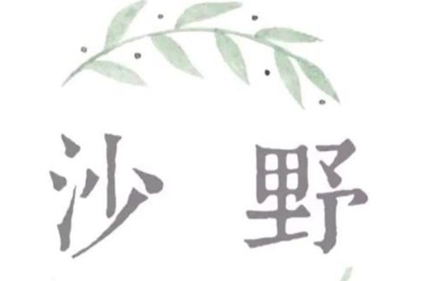 沙野轻食怎么加盟