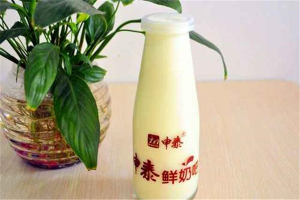 申泰鲜奶加盟费多少