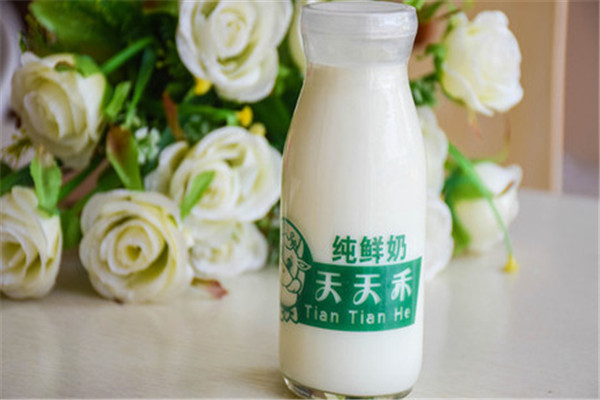 天天禾鲜奶吧加盟费多少