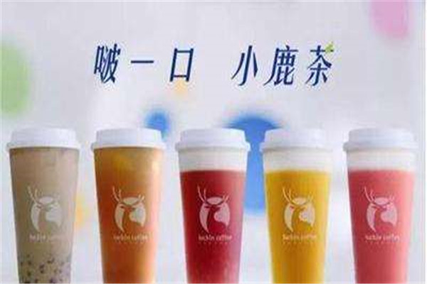 小鹿茶