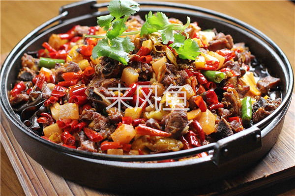 来风鱼