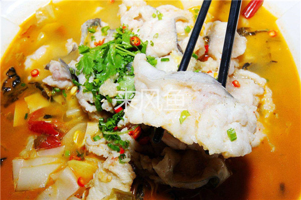 来风鱼