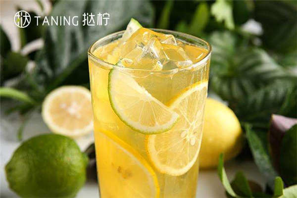 挞柠总部在哪里