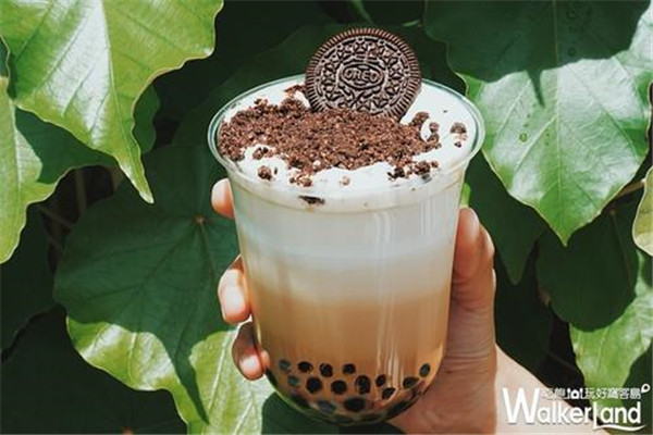 珍煮丹大陆有吗