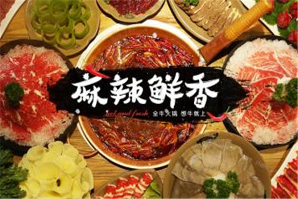 牛莽莽牛杂火锅加盟费是多少