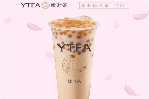 媛叶茶骗局是真的吗
