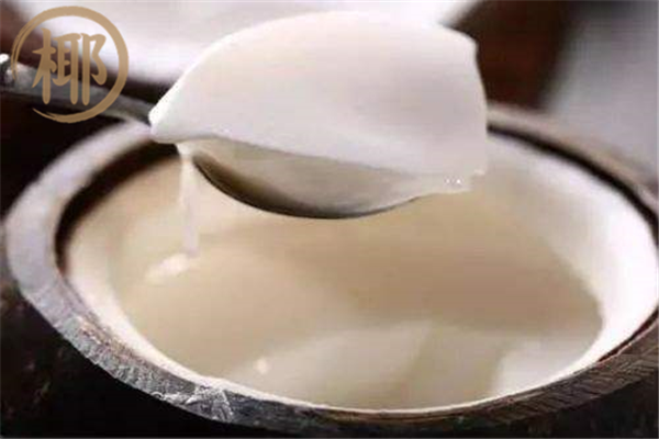 椰子日记靠谱吗