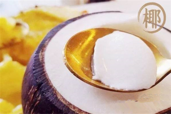 椰子日记靠谱吗