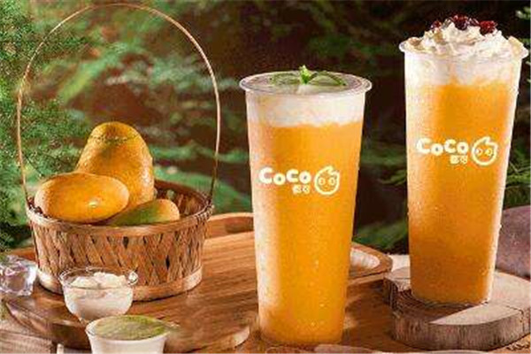 石家庄coco奶茶加盟店费多少