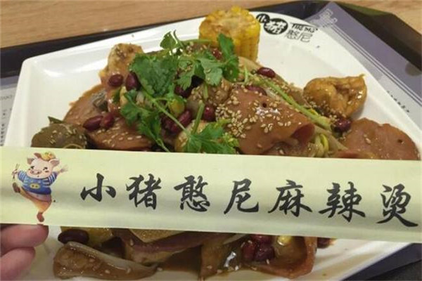 小猪憨尼加盟费多少钱