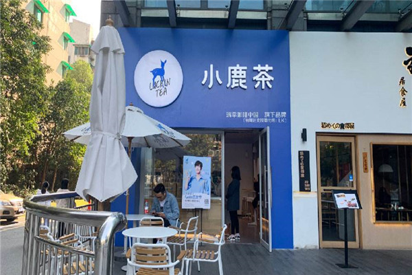 小鹿茶值得投入吗
