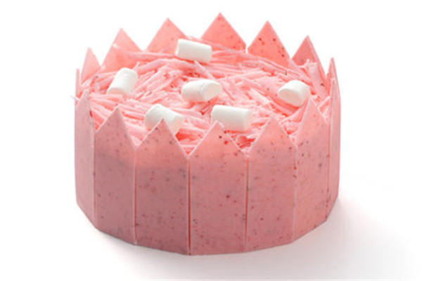 21cake可以加盟吗