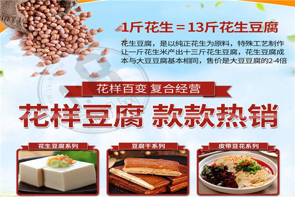 皇豆御家花生豆腐机加盟