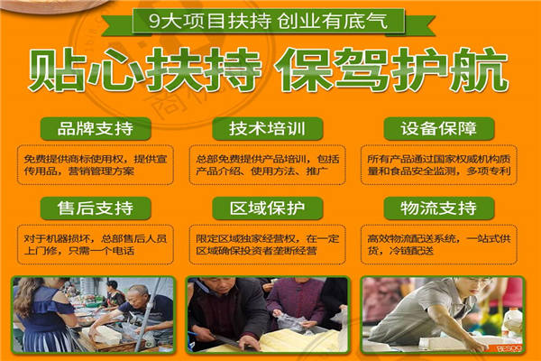 皇豆御家花生豆腐机一年利润是多少