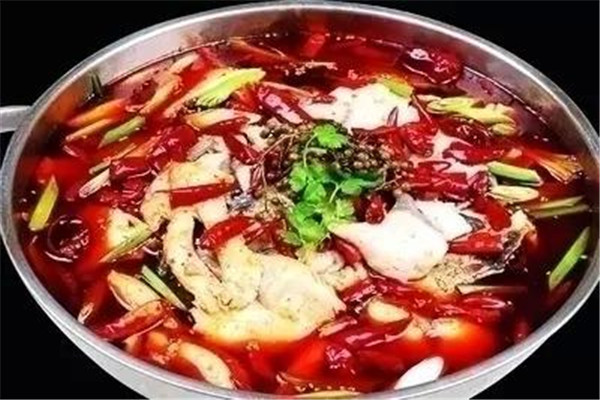 加盟乌江片片鱼火锅要多少钱